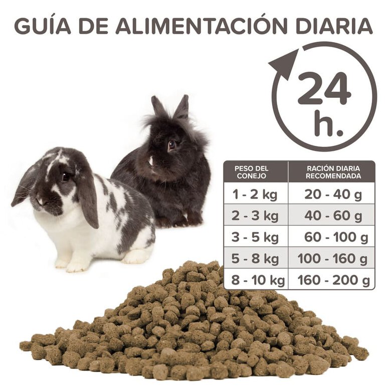 Beaphar Care+ pienso para conejos seniors, , large image number null